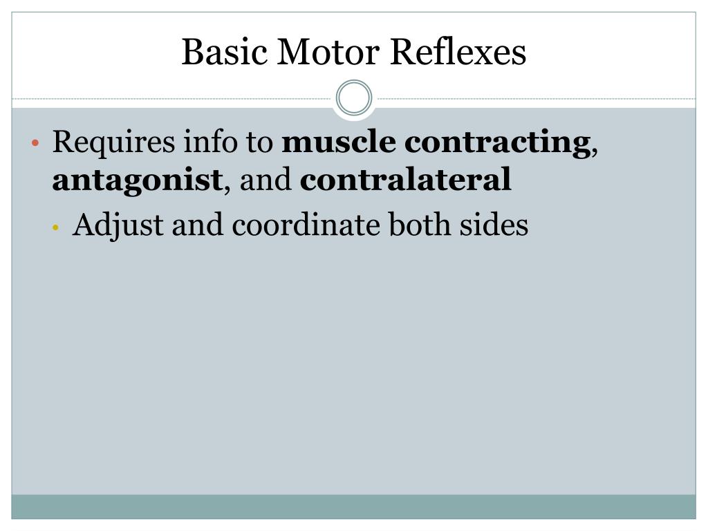 PPT Movement & the Motor System Jun 13, 2014 PowerPoint Presentation
