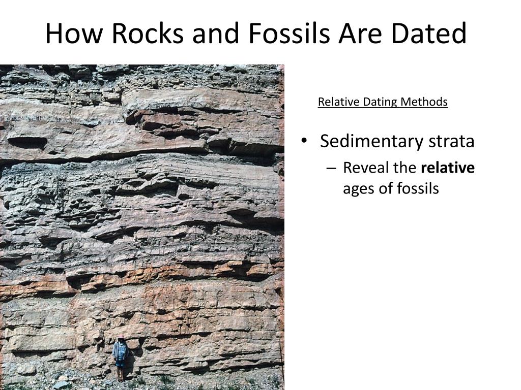 PPT III. FOSSIL AND BIOCHEMICAL EVIDENCE PowerPoint Presentation
