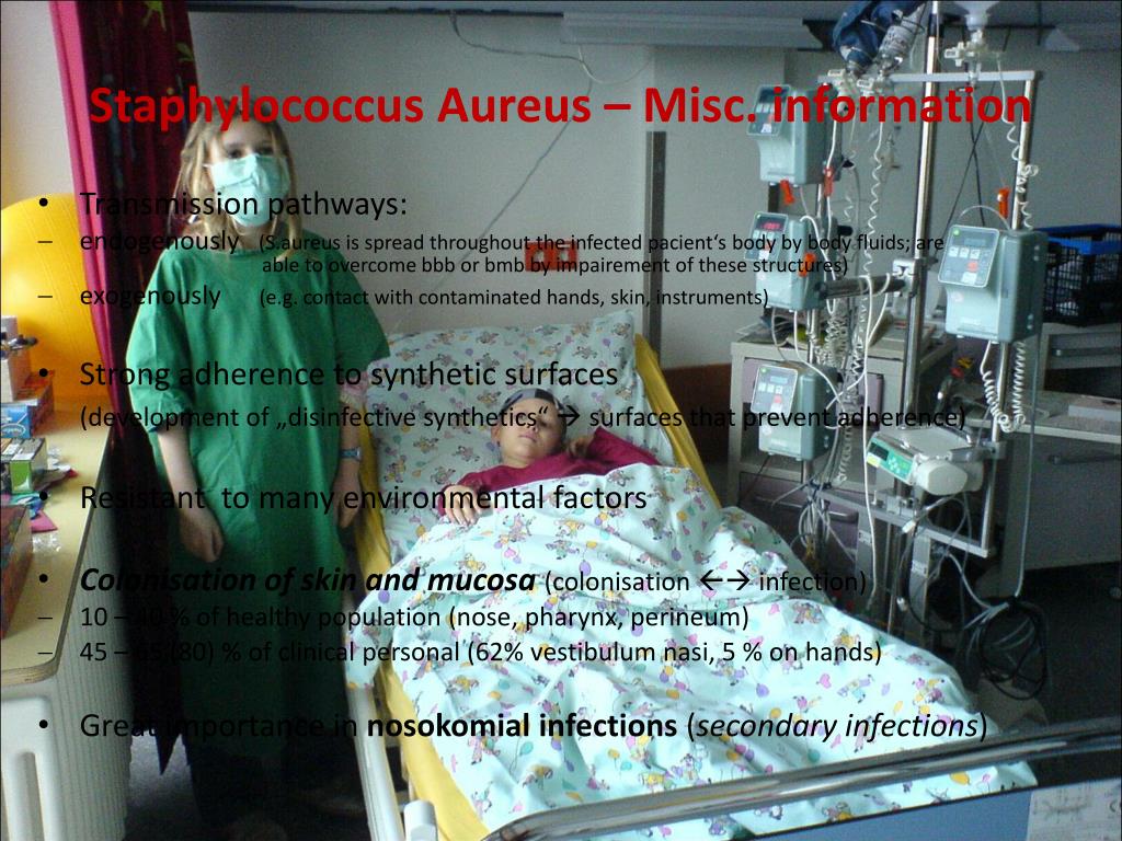 PPT MRSA Methicillin resistant Staphylococcus Aureus