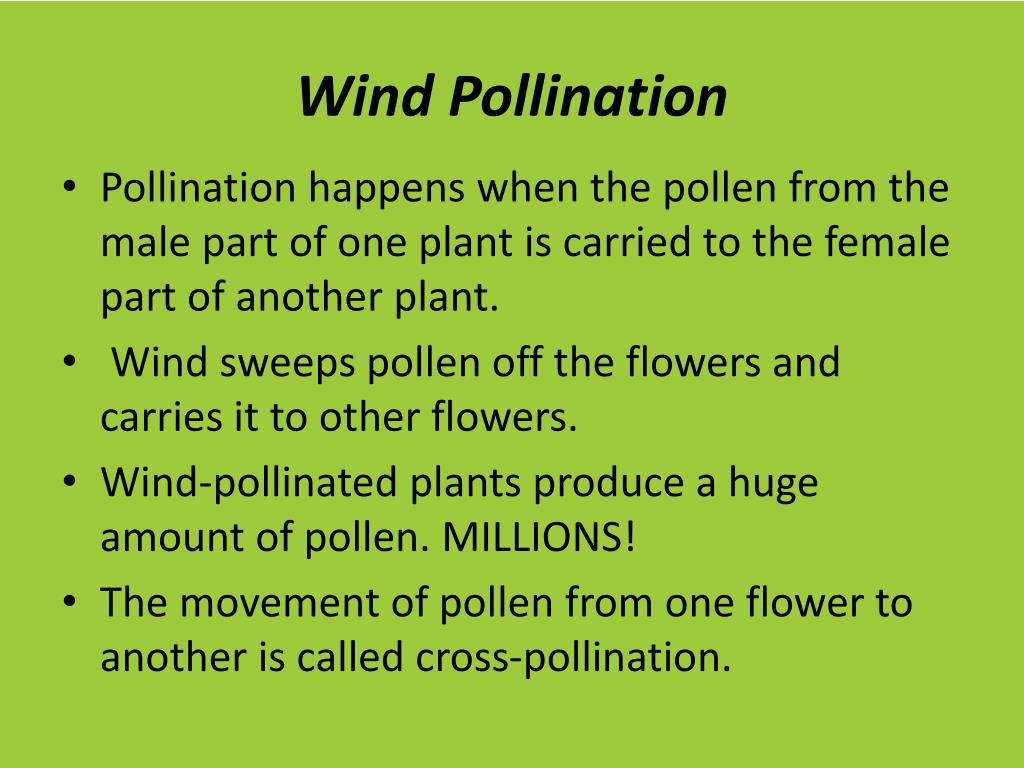 PPT Bell Work 1/18/11 PowerPoint Presentation, free download ID