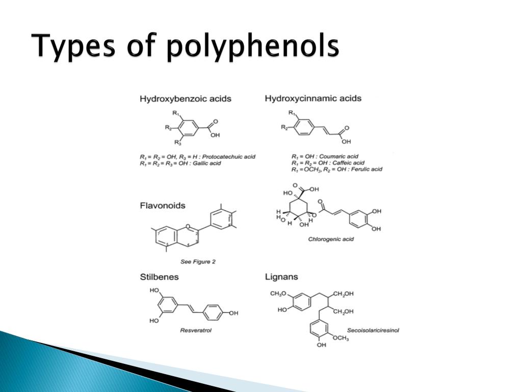 PPT Thermal stability of polyphenols PowerPoint Presentation, free