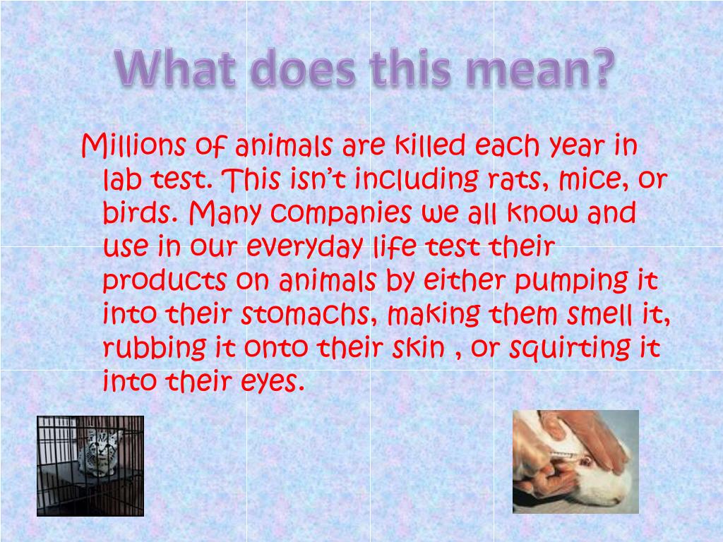 PPT Product Testing on Animals PowerPoint Presentation, free download