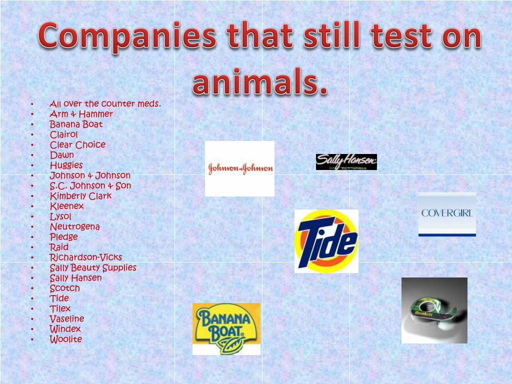 PPT Product Testing on Animals PowerPoint Presentation, free download