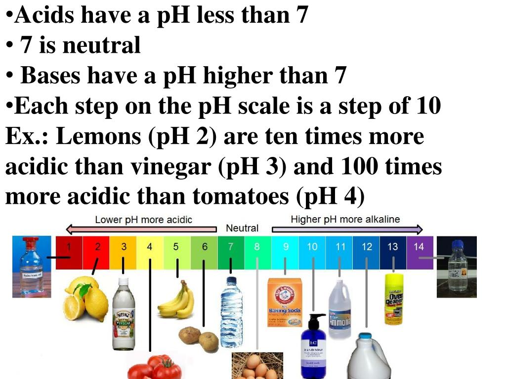 PPT Warm Up 4/14 How many protons and neutrons would an H+ ion have