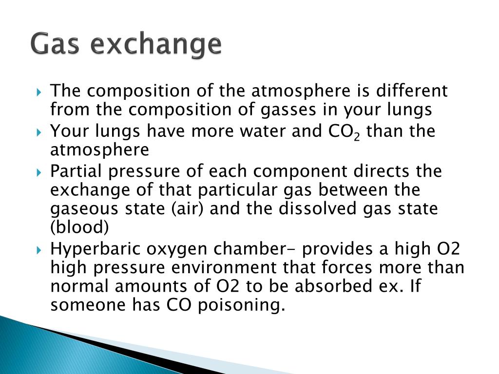 PPT Respiratory System PowerPoint Presentation, free download ID