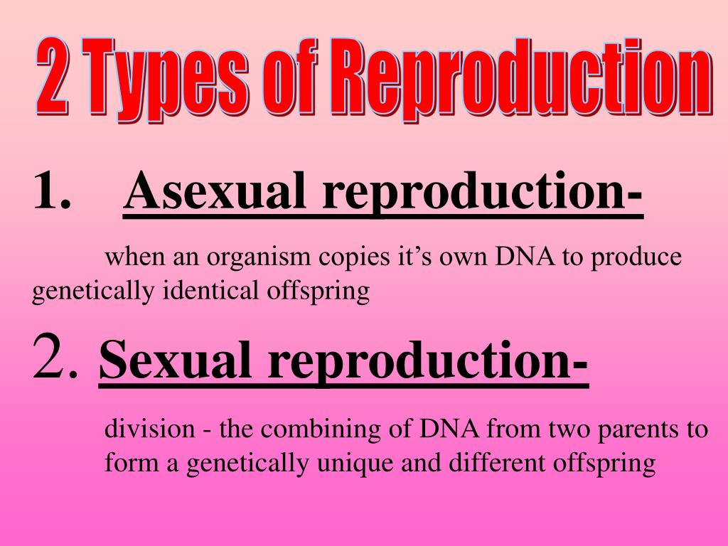 PPT Reproduction PowerPoint Presentation, free download ID1924412