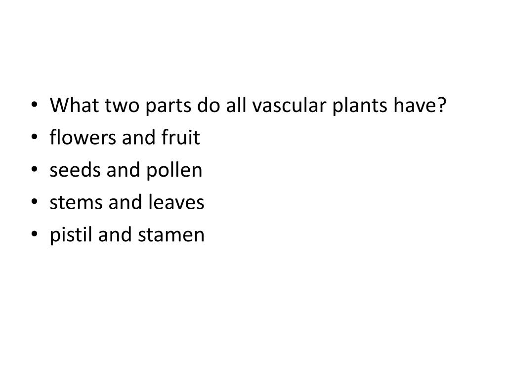 PPT Review Set for “Introduction to Plants” PowerPoint Presentation