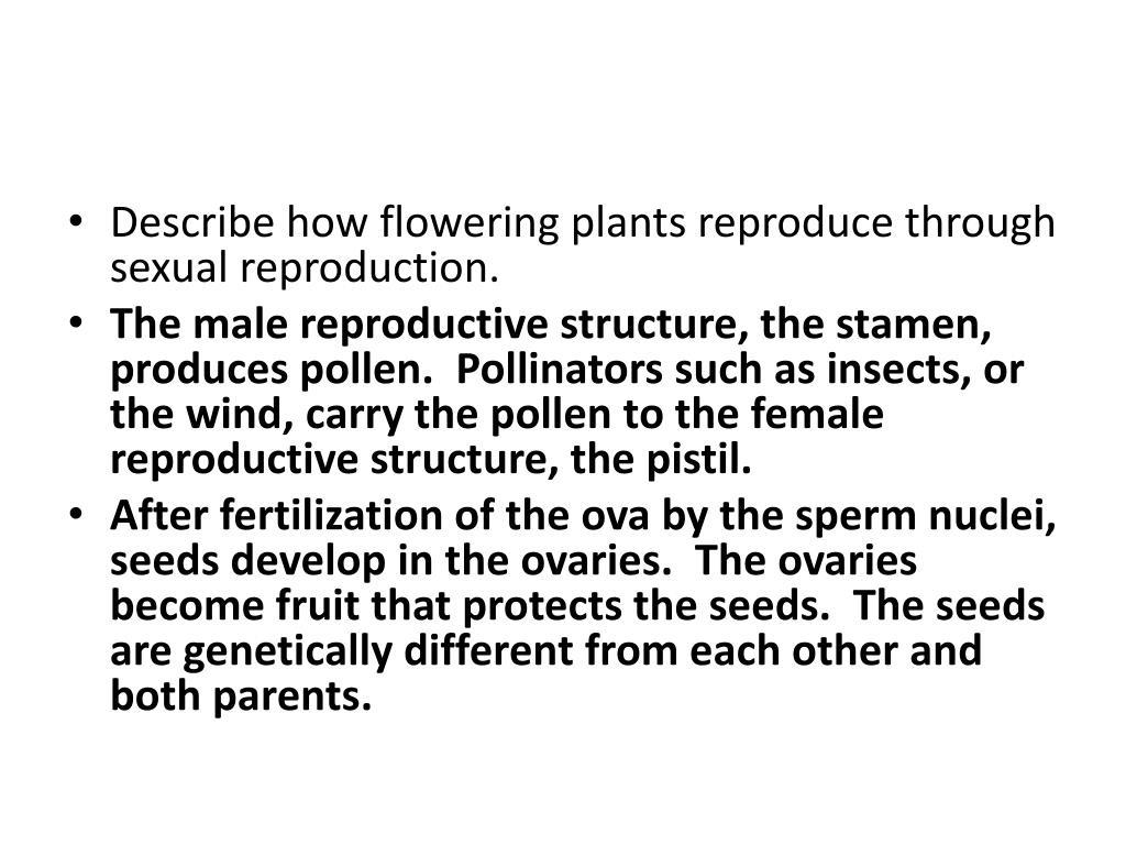 PPT Review Set for “Introduction to Plants” PowerPoint Presentation ID1924621