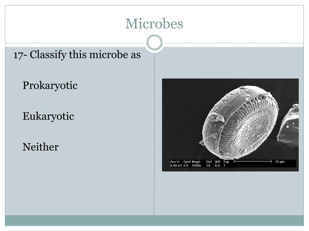 PPT Microbe Mission FaceOff PowerPoint Presentation, free download