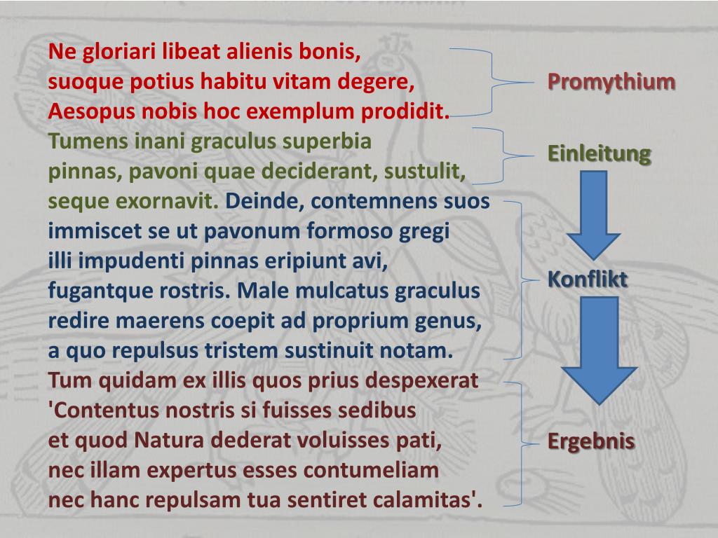 PPT Graculus superbus et pavo PowerPoint Presentation, free download