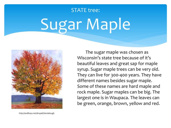 PPT STATE SYMBOLS OF WISCONSIN PowerPoint Presentation ID1928752