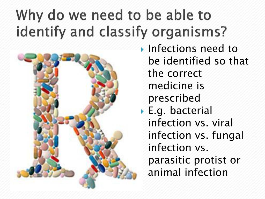 PPT The Science of Classification PowerPoint Presentation, free