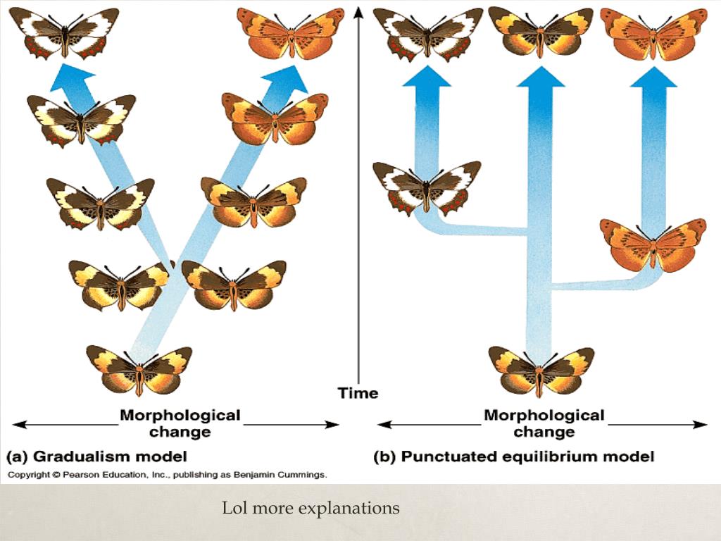 PPT - The Theory of Gradualism and the Punctuated Equilibrium