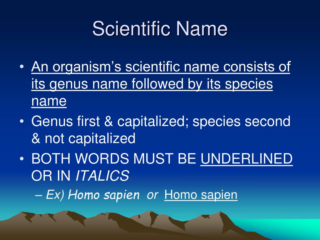 PPT CH.17 Classification & Taxonomy PowerPoint