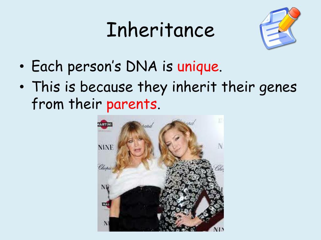 PPT DNA PowerPoint Presentation, free download ID1934492
