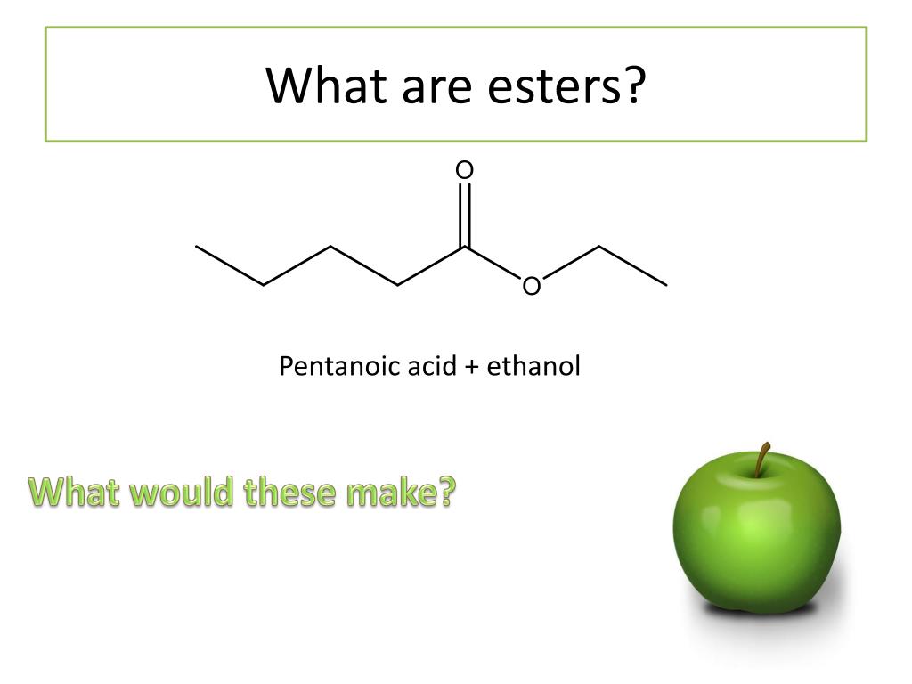 PPT Esters PowerPoint Presentation, free download ID1936696