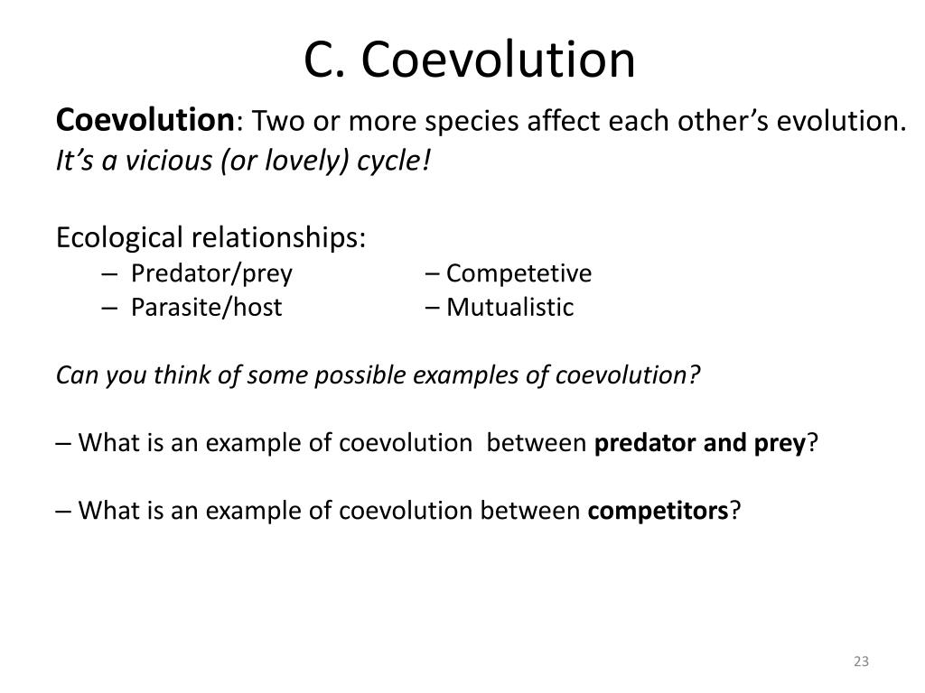 PPT Patterns of Evolution 2 PowerPoint Presentation, free download ID1937046