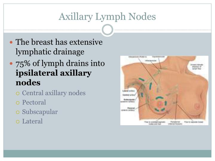 PPT Lymphatic Assessment PowerPoint Presentation ID1937104