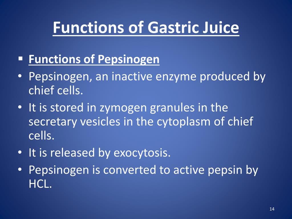 PPT STOMACH GASTRIC SECRETION PowerPoint Presentation, free