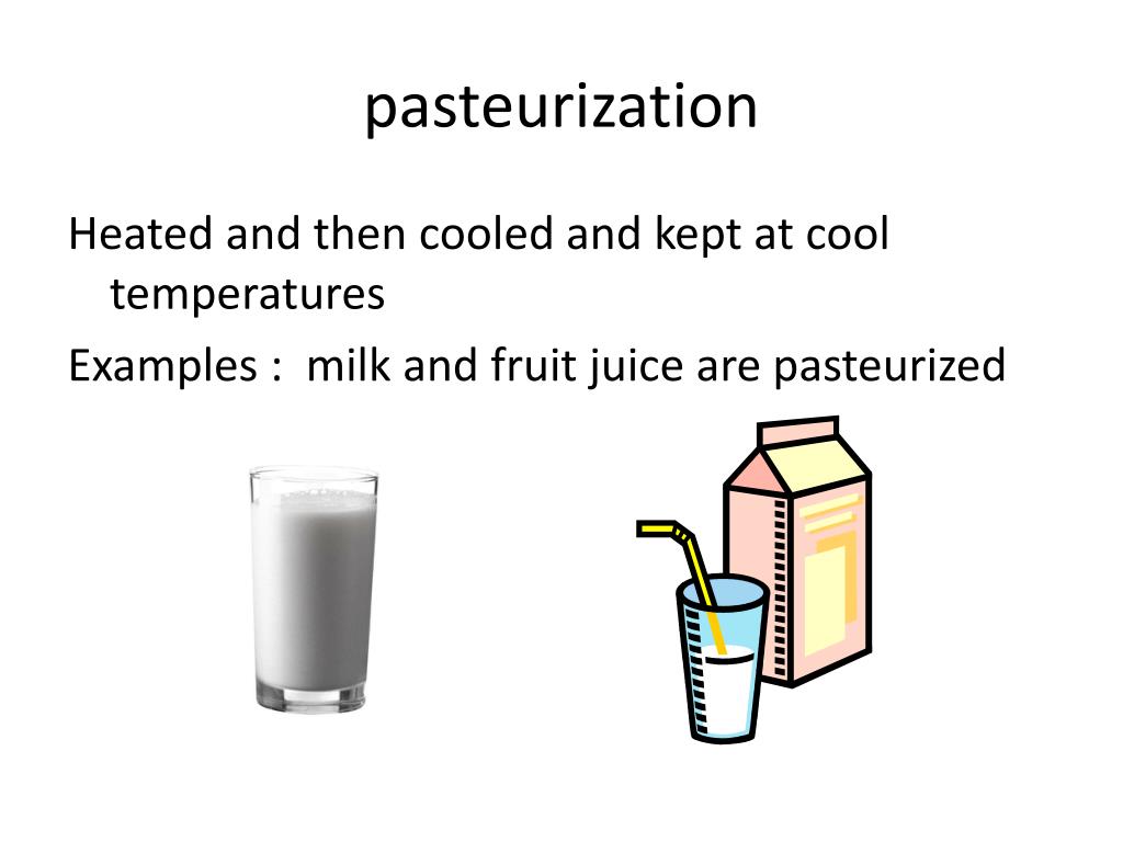 PPT Bacteria Information PowerPoint Presentation, free