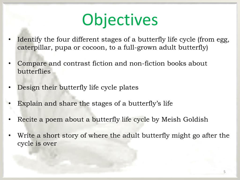 PPT Butterfly Life Introduction to the Butterfly Life Cycle