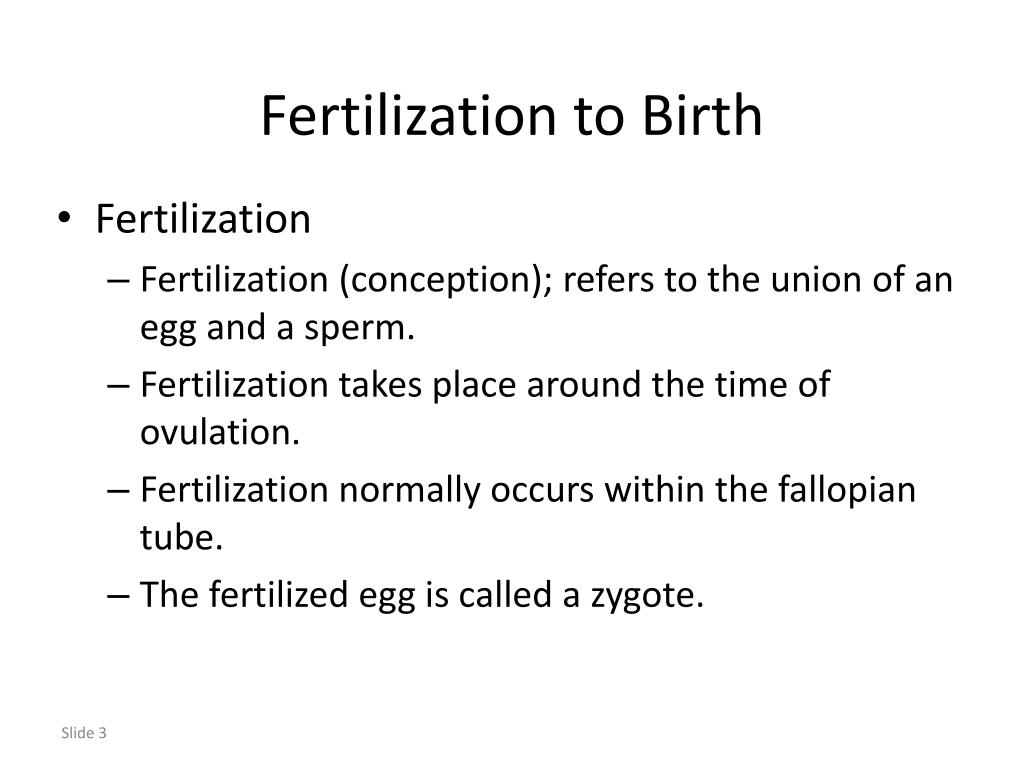 PPT Chapter 27 Human Development and Heredity PowerPoint Presentation