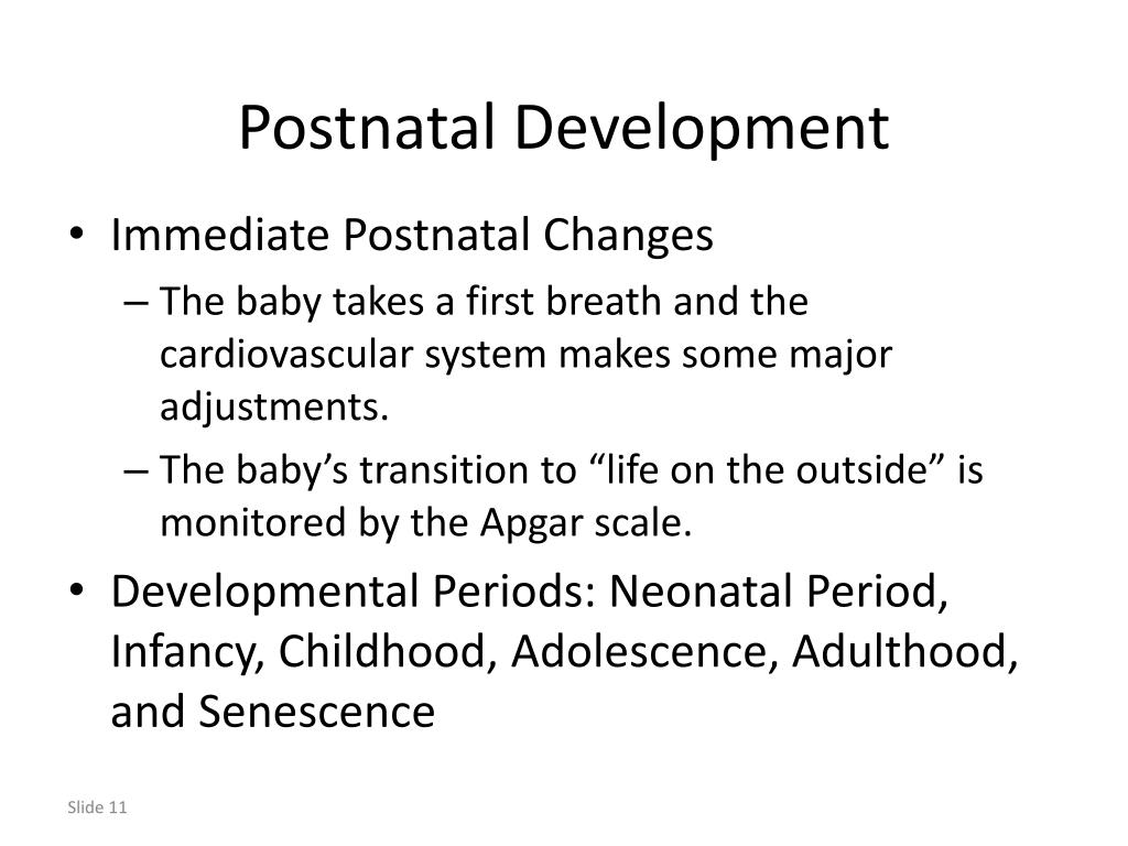 PPT Chapter 27 Human Development and Heredity PowerPoint Presentation