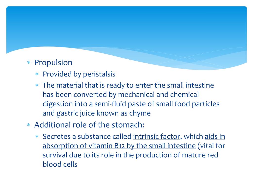 PPT Digestive System PowerPoint Presentation, free