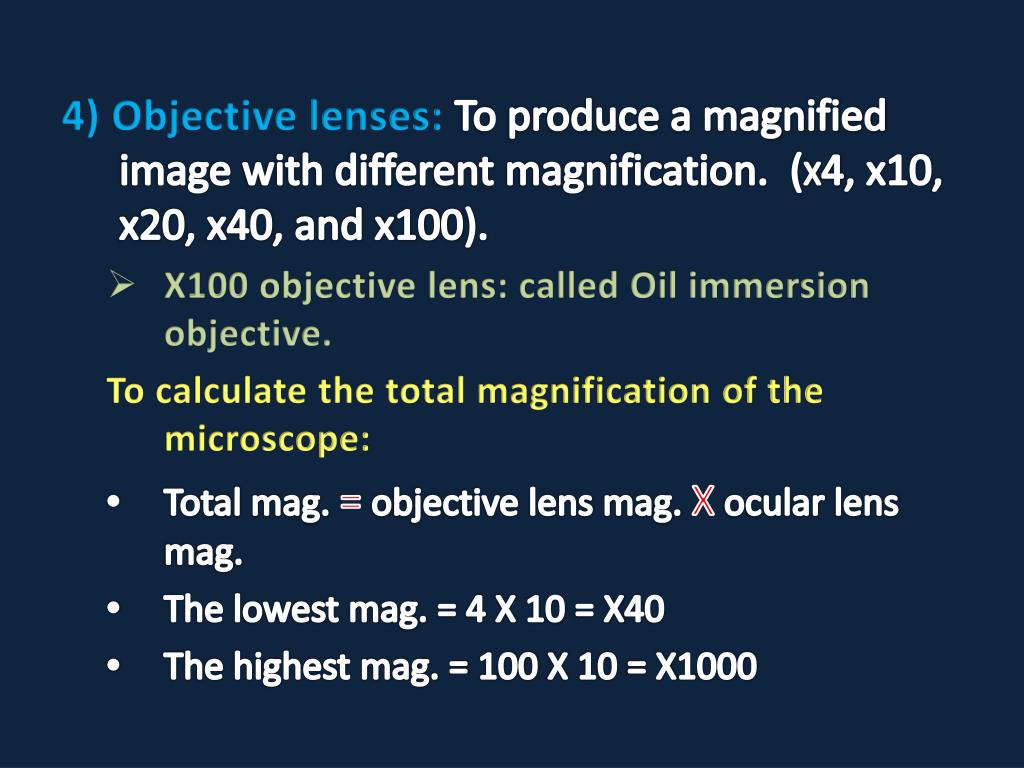 PPT Microscopy PowerPoint Presentation, free download
