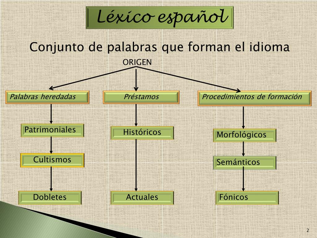 PPT EL LÉXICO ESPAÑOL PowerPoint Presentation, free download ID1949444
