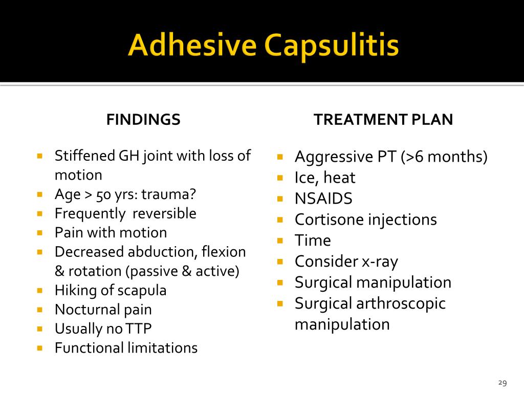 PPT Shoulder and Knee Problems Patricia M. Sohn DNP, APRNBC