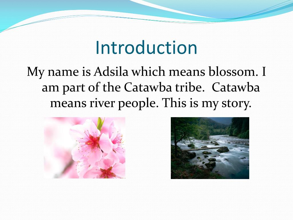 PPT The Catawba PowerPoint Presentation, free download ID1953834
