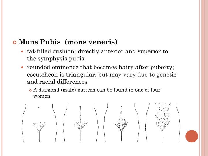 PPT THE FEMALE REPRODUCTIVE TRACT PowerPoint Presentation ID1954581