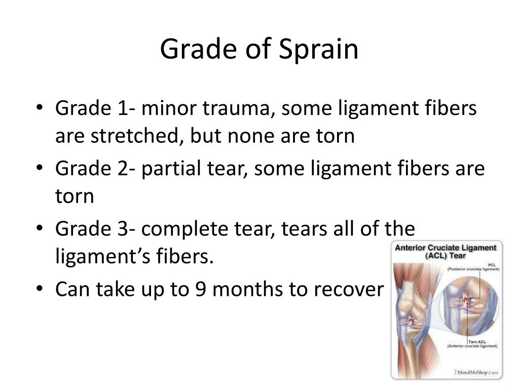 PPT Hamstring Strain PowerPoint Presentation, free download ID1957924