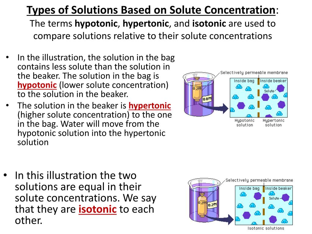 PPT Diffusion/Osmosis/Water Potential PowerPoint Presentation, free