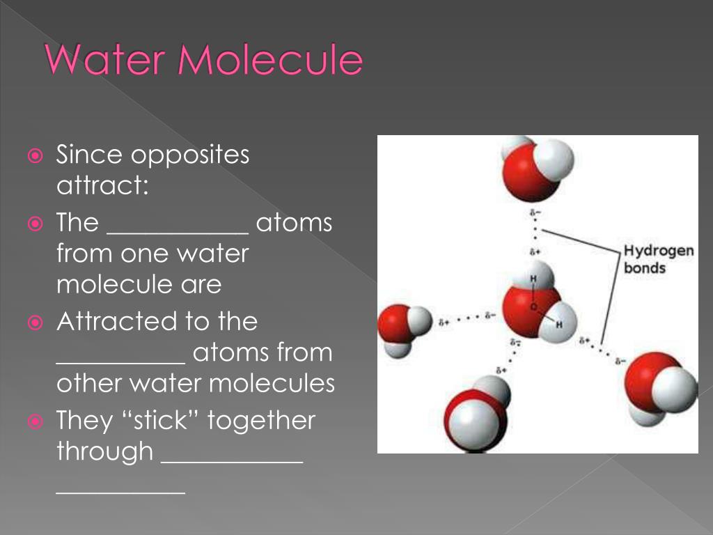 PPT Fresh Water PowerPoint Presentation, free download ID1958642