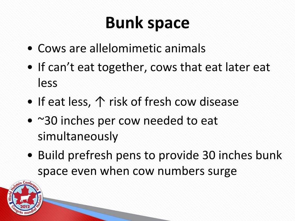 PPT Transition Cow Index® PowerPoint Presentation, free download ID