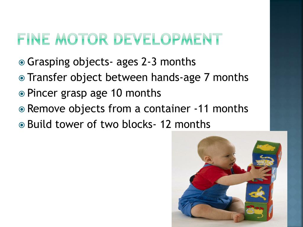 PPT Tools for exploring the world Physical, Perceptual, and Motor