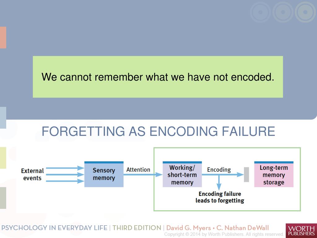 PPT Memory Studying Memory Building Memories Encoding Memory Storage