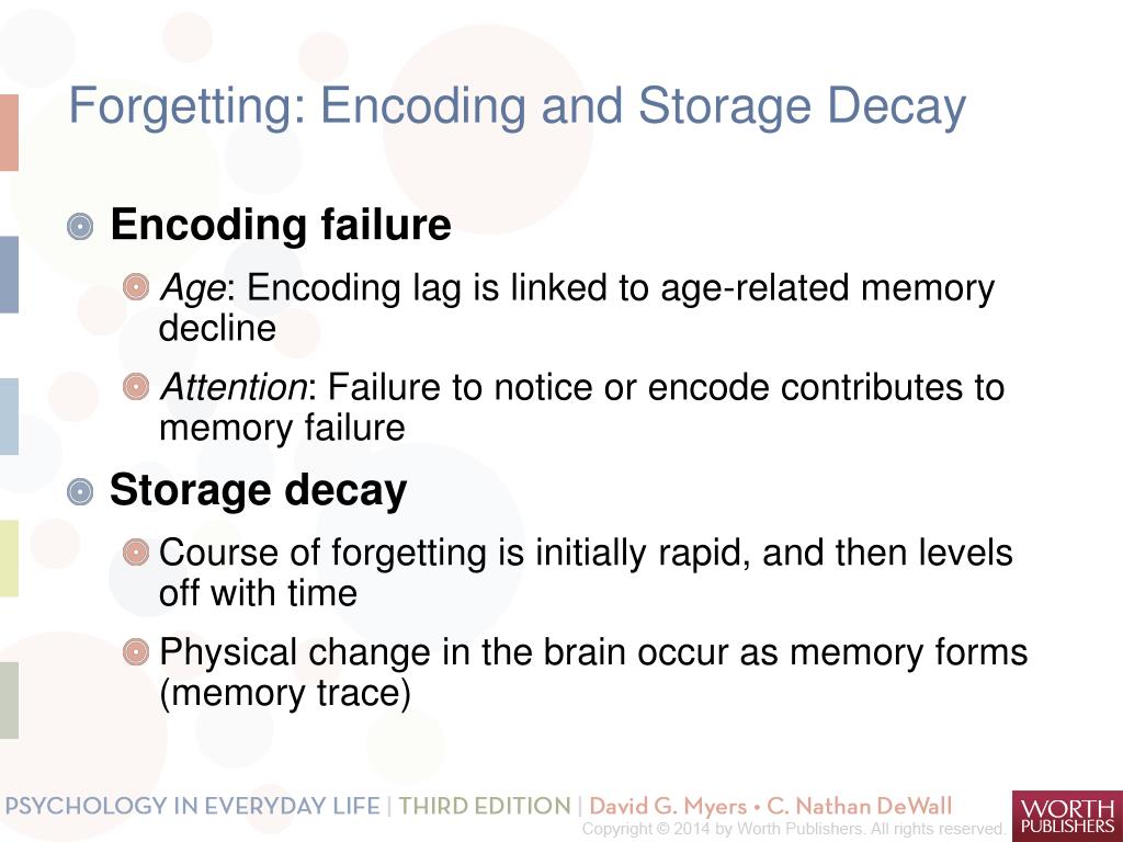 PPT Memory Studying Memory Building Memories Encoding Memory Storage