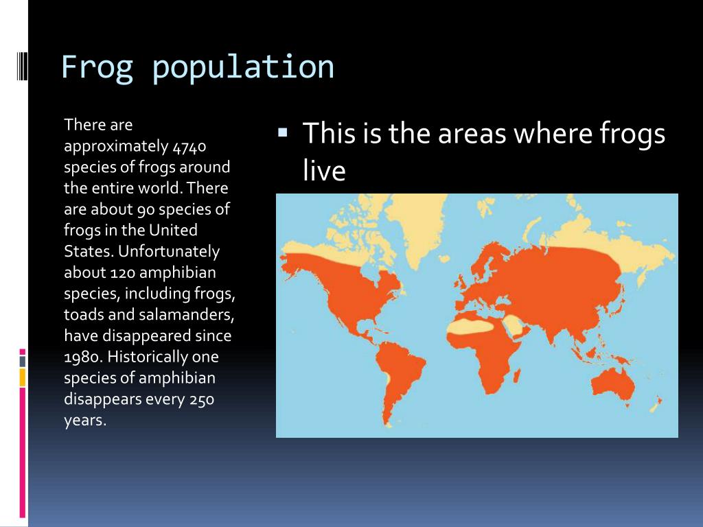 PPT Frogs PowerPoint Presentation, free download ID1968547