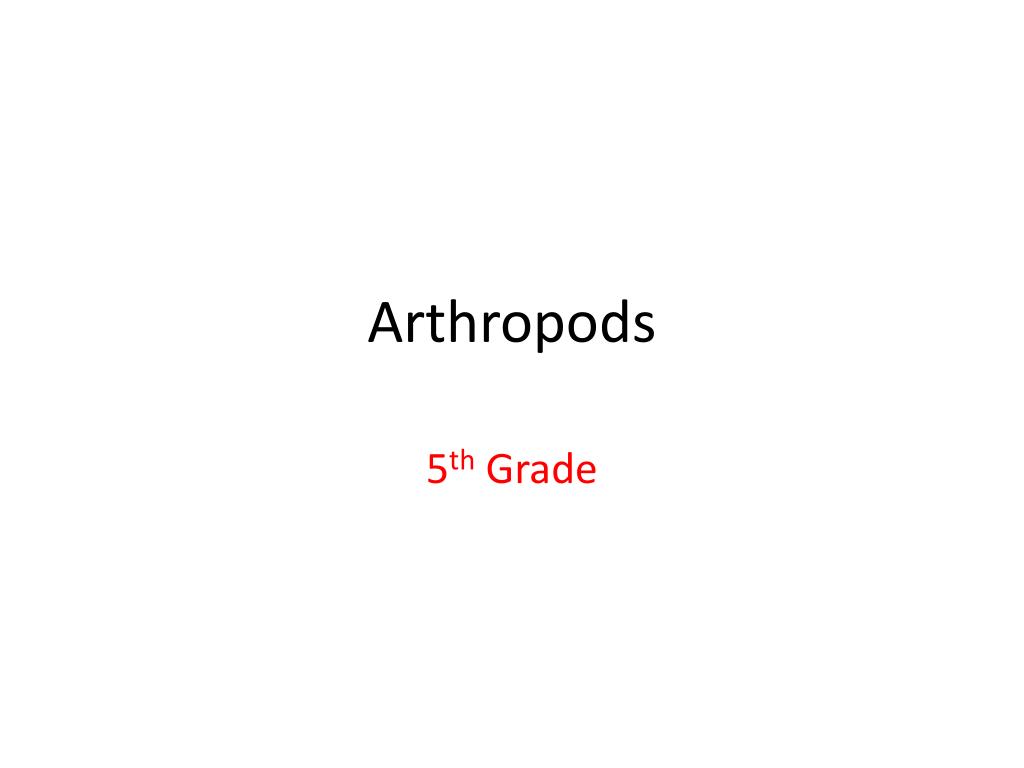 PPT Arthropods PowerPoint Presentation, free download ID1969350