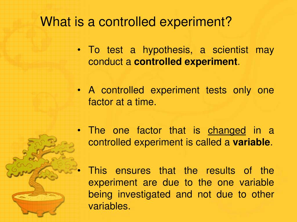 PPT Testing Our Hypothesis PowerPoint Presentation, free download