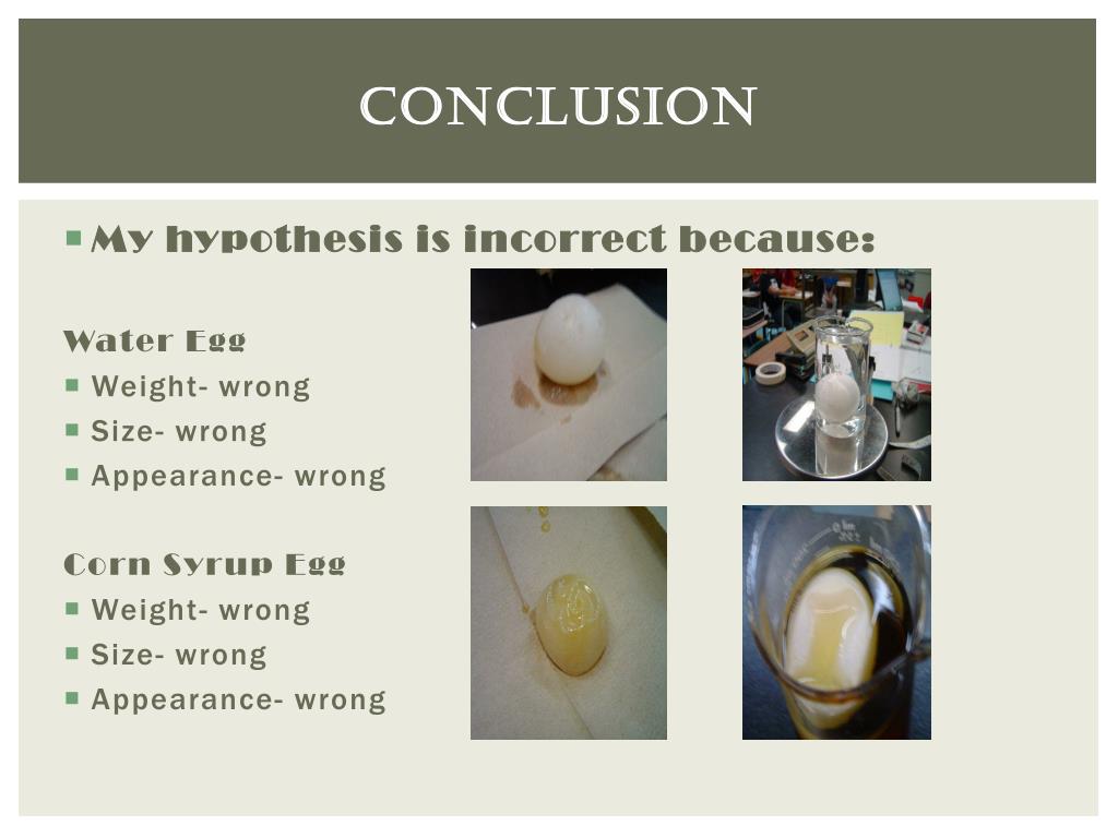 PPT Egg Osmosis Experiment PowerPoint Presentation, free download