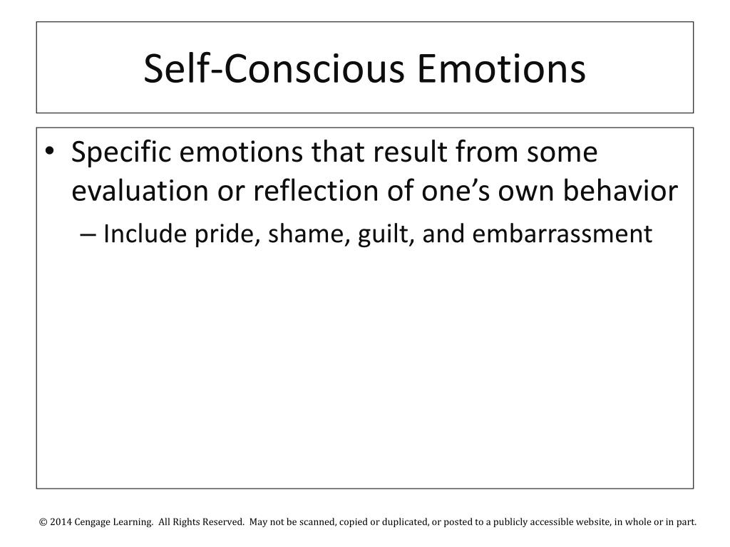 PPT Chapter 5 Motivation and Emotion Driving Consumer Behavior