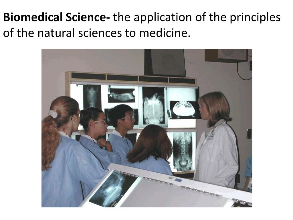 PPT Biomedical Sciences Program Principles of Biomedical Sciences