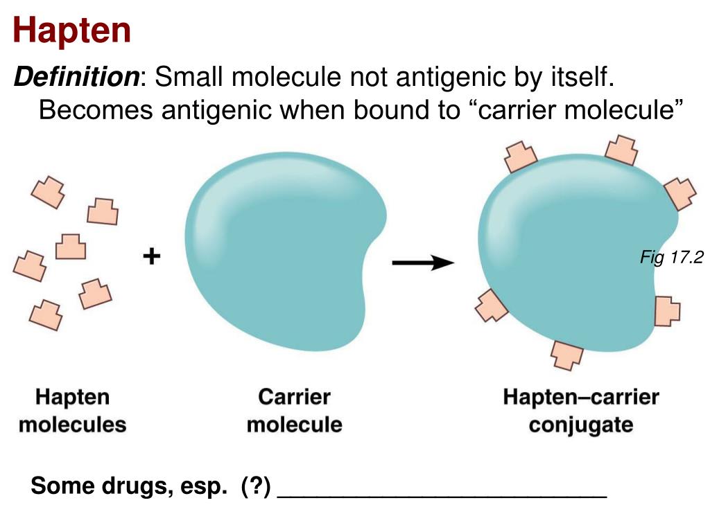PPT Adaptive Immunity Specific Defenses of the Host PowerPoint