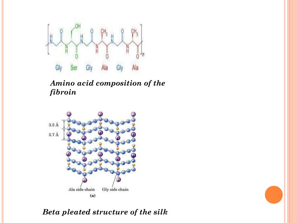 PPT SILKBASED DELIVERY SYSTEMS OF BIOACTIVE MOLECULES PowerPoint Presentation ID1977052