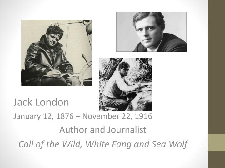 PPT The Story of an Eyewitness PowerPoint Presentation ID1977803