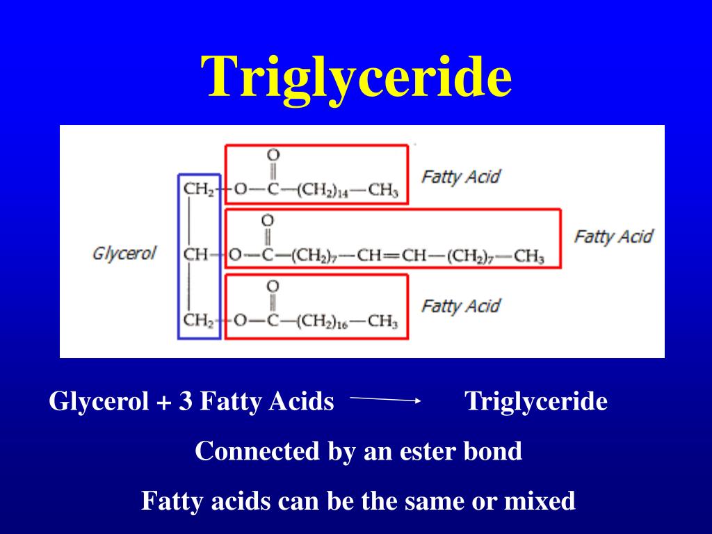 PPT MILK COMPOSITION LIPIDS OR FATS PowerPoint Presentation, free